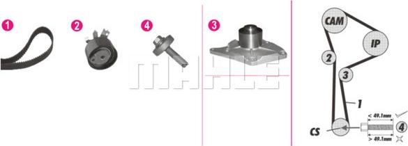 Wilmink Group WG2182121 - Pompe à eau + kit de courroie de distribution cwaw.fr