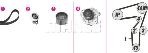 Wilmink Group WG2182127 - Pompe à eau + kit de courroie de distribution cwaw.fr