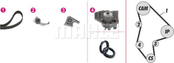 Wilmink Group WG2182175 - Pompe à eau + kit de courroie de distribution cwaw.fr