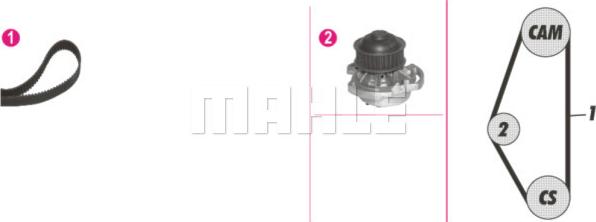 Wilmink Group WG2182172 - Pompe à eau + kit de courroie de distribution cwaw.fr