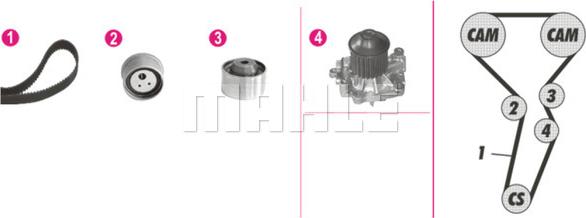 Wilmink Group WG2182202 - Pompe à eau + kit de courroie de distribution cwaw.fr