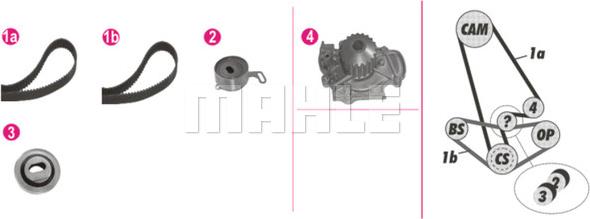 Wilmink Group WG2182214 - Pompe à eau + kit de courroie de distribution cwaw.fr