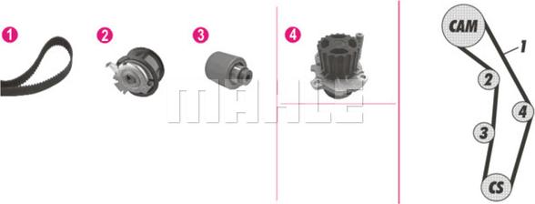 Wilmink Group WG2182216 - Pompe à eau + kit de courroie de distribution cwaw.fr