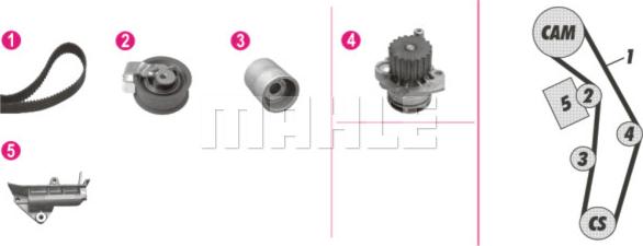 Wilmink Group WG2182218 - Pompe à eau + kit de courroie de distribution cwaw.fr