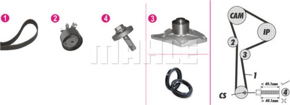 Wilmink Group WG2182217 - Pompe à eau + kit de courroie de distribution cwaw.fr