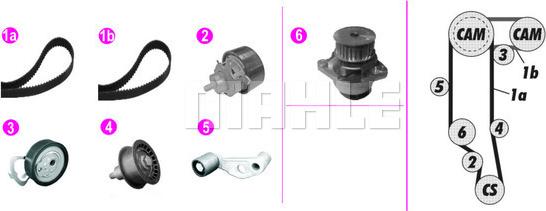 Wilmink Group WG2182224 - Pompe à eau + kit de courroie de distribution cwaw.fr