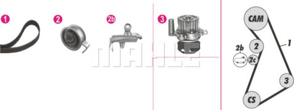 Wilmink Group WG2182226 - Pompe à eau + kit de courroie de distribution cwaw.fr