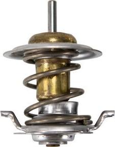 Wilmink Group WG2260485 - Thermostat d'eau cwaw.fr