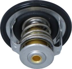 Wilmink Group WG2204597 - Thermostat d'eau cwaw.fr