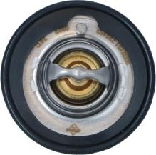 Wilmink Group WG2204559 - Thermostat d'eau cwaw.fr