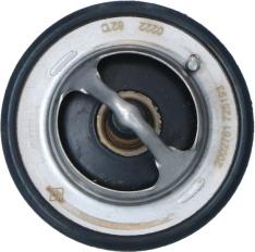 Wilmink Group WG2204568 - Thermostat d'eau cwaw.fr