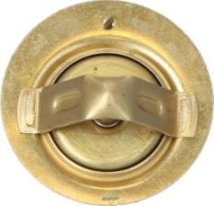 Wilmink Group WG2204605 - Thermostat d'eau cwaw.fr