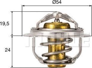 Wilmink Group WG2224798 - Thermostat d'eau cwaw.fr