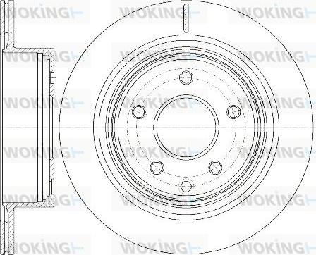 Woking D6998.10 - Disque de frein cwaw.fr