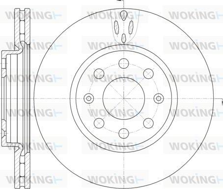 Woking D6981.10 - Disque de frein cwaw.fr