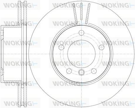 Woking D6974.10 - Disque de frein cwaw.fr