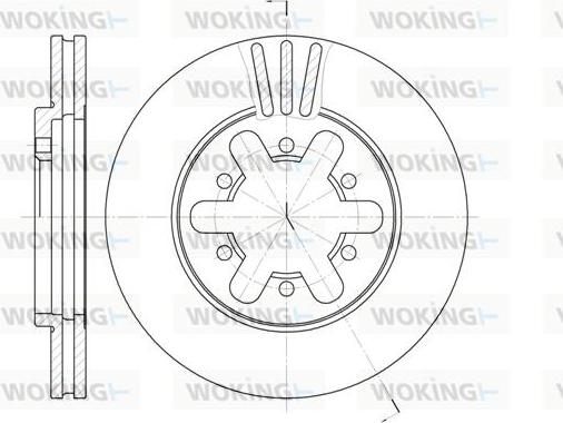 Woking D6450.10 - Disque de frein cwaw.fr