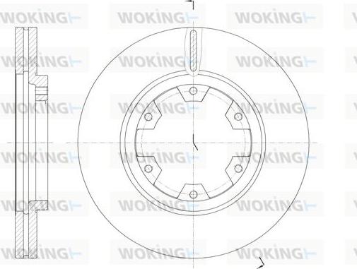 Woking D6466.10 - Disque de frein cwaw.fr