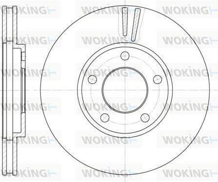 Woking D6419.10 - Disque de frein cwaw.fr