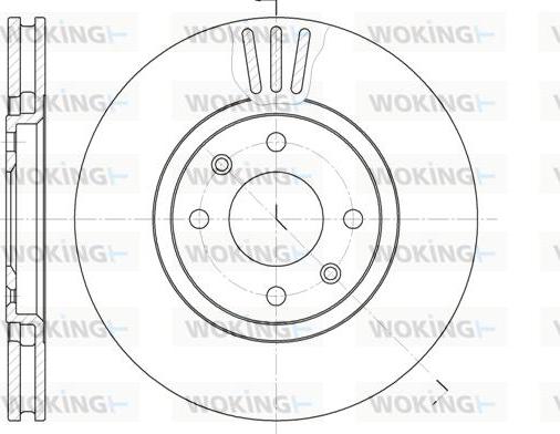 Woking D6486.10 - Disque de frein cwaw.fr