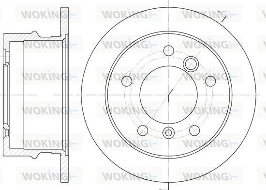 Woking D6565.00 - Disque de frein cwaw.fr