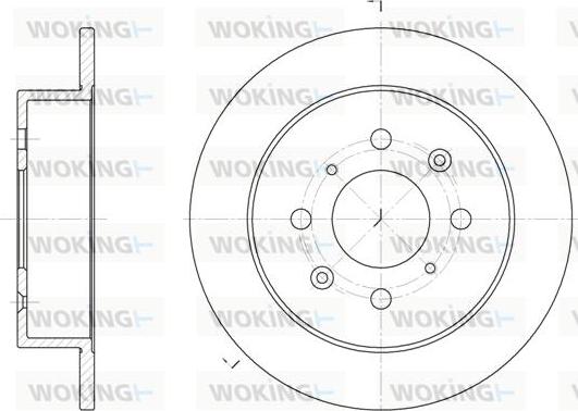 Woking D6521.00 - Disque de frein cwaw.fr