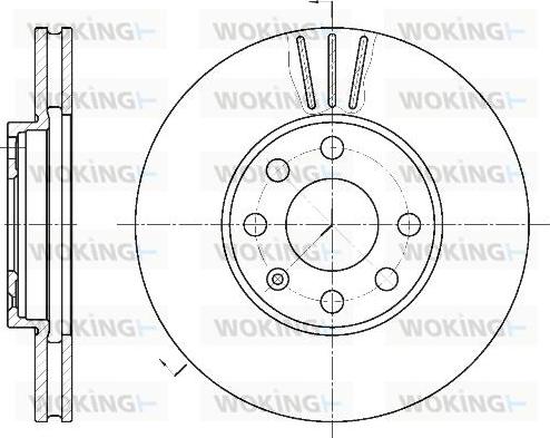 Woking D6572.10 - Disque de frein cwaw.fr