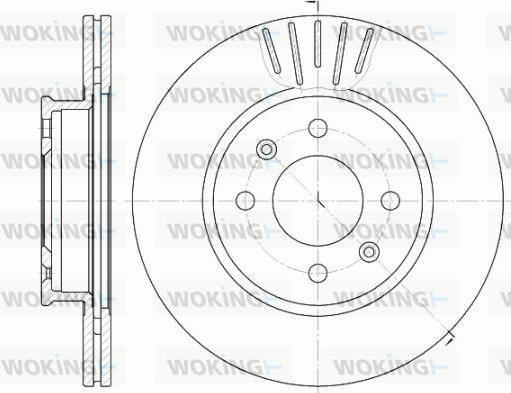 Woking D6666.10 - Disque de frein cwaw.fr