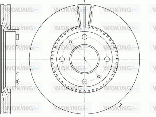 Woking D6668.10 - Disque de frein cwaw.fr