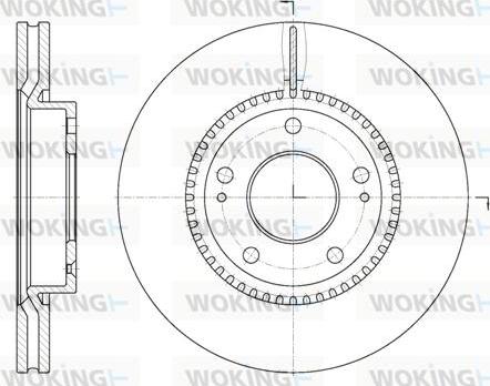 Woking D6663.10 - Disque de frein cwaw.fr