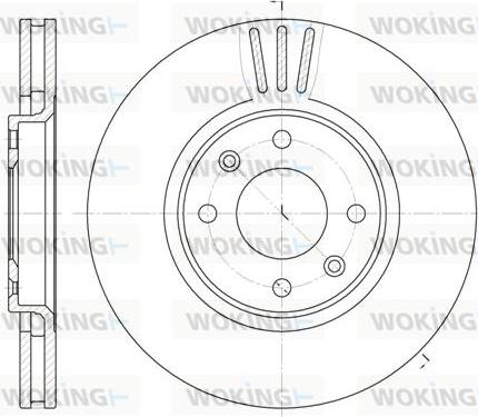 Woking D6604.10 - Disque de frein cwaw.fr