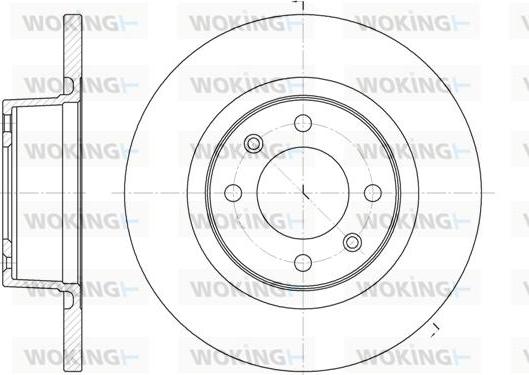 Woking D6605.00 - Disque de frein cwaw.fr