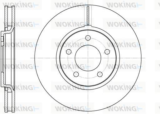 Woking D6602.10 - Disque de frein cwaw.fr