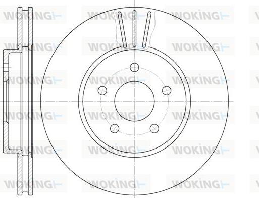 Woking D6607.10 - Disque de frein cwaw.fr