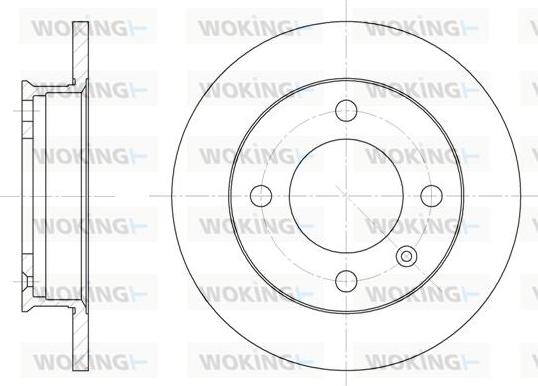 Woking D6019.00 - Disque de frein cwaw.fr