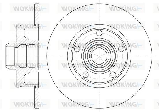 Woking D6025.00 - Disque de frein cwaw.fr