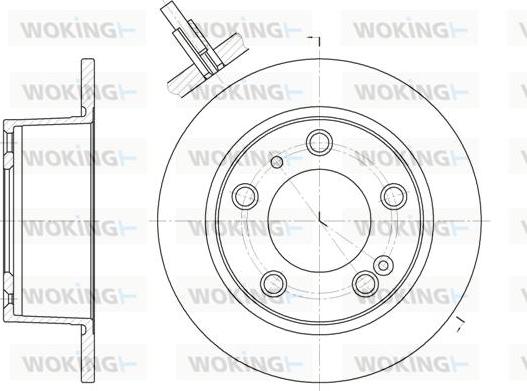 Woking D6020.00 - Disque de frein cwaw.fr