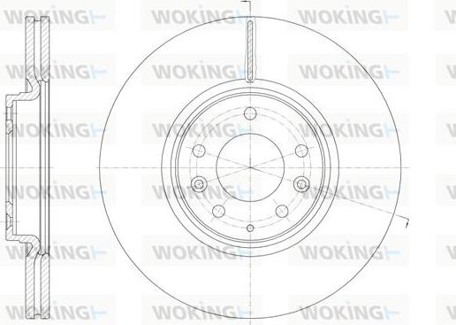 Woking D61949.10 - Disque de frein cwaw.fr