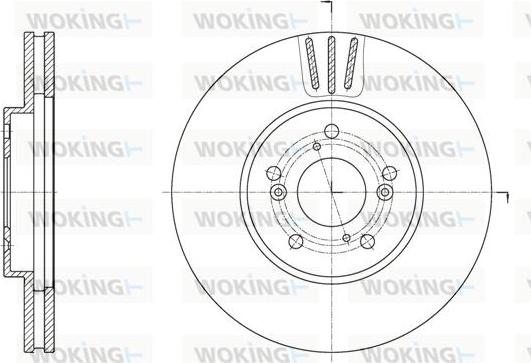 Woking D61942.10 - Disque de frein cwaw.fr