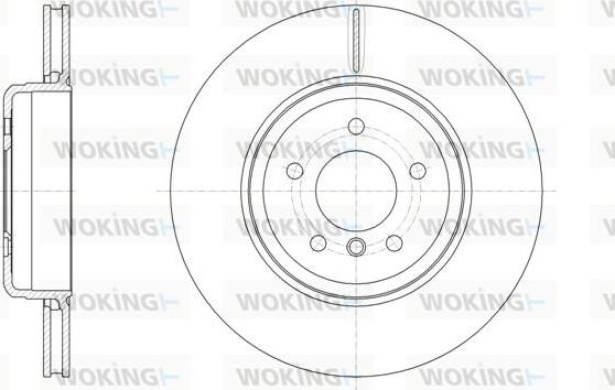 Woking D61961.10 - Disque de frein cwaw.fr