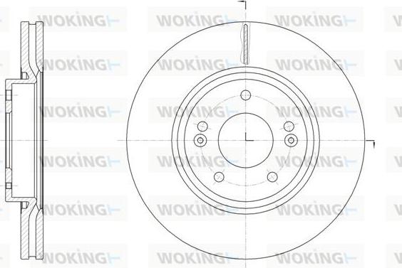 Woking D61904.10 - Disque de frein cwaw.fr