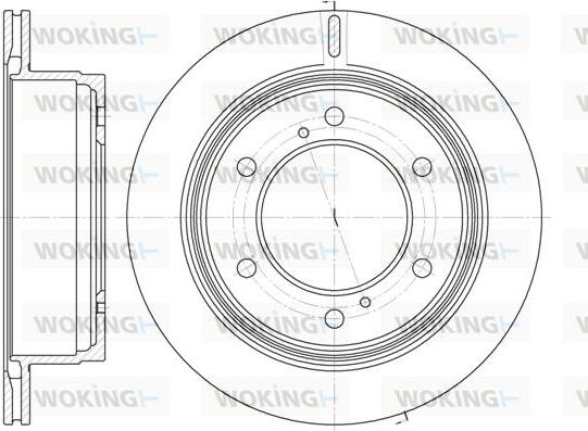 Woking D61929.10 - Disque de frein cwaw.fr