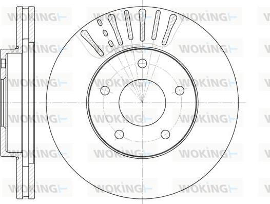 Woking D61973.10 - Disque de frein cwaw.fr