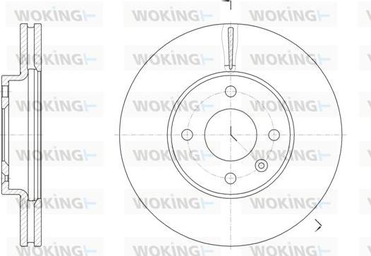 Woking D61456.10 - Disque de frein cwaw.fr