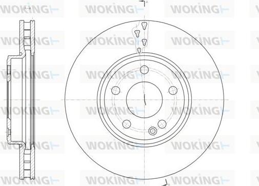 Woking D61522.10 - Disque de frein cwaw.fr