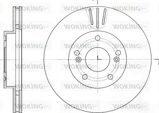 Woking D61644.10 - Disque de frein cwaw.fr