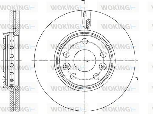 Woking D61655.10 - Disque de frein cwaw.fr