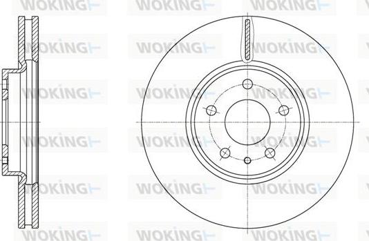 Woking D61605.10 - Disque de frein cwaw.fr