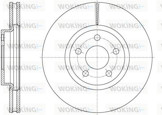 Woking D61603.10 - Disque de frein cwaw.fr