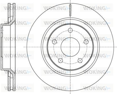 Woking D61610.10 - Disque de frein cwaw.fr